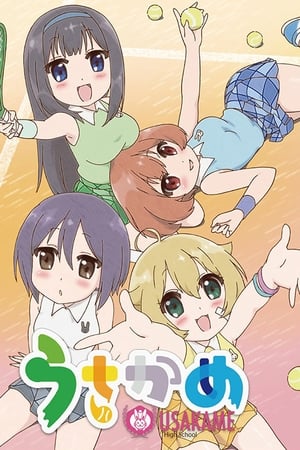 兔龟