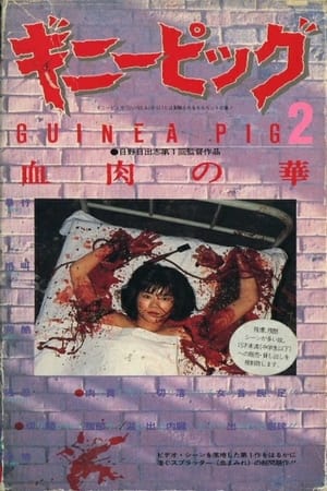 豚鼠系列之2：血肉之花