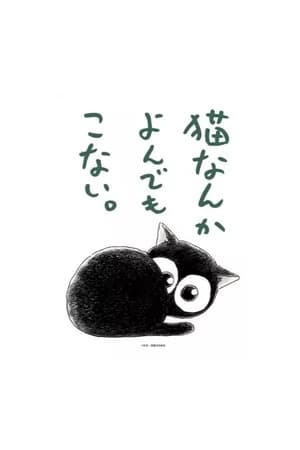 为什么猫都叫不来