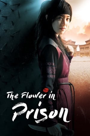 狱中花
