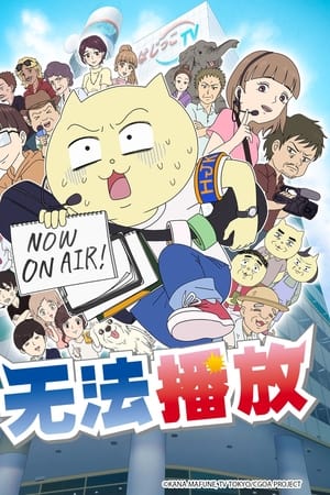 不能播放！