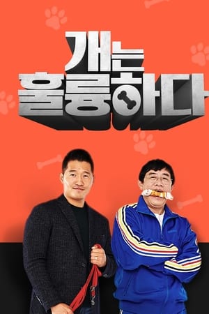 狗狗很优秀