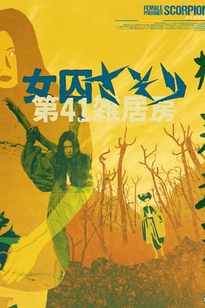 女囚701之二：第41号女囚房