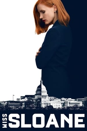 斯隆女士