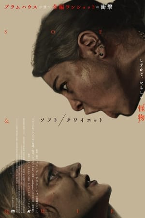 温柔安静的女人们