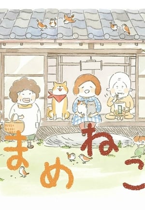 豆豆猫