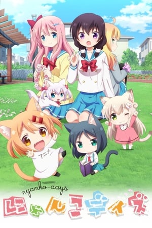 猫咪日常