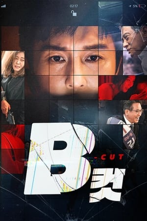 B级文件