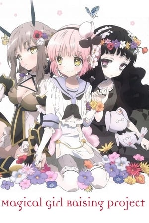 魔法少女育成计划