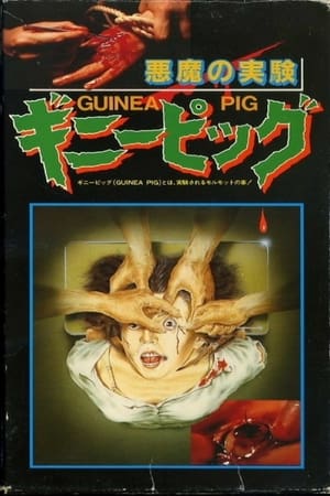 豚鼠系列之1：恶魔实验